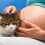 Gatos y embarazo Humano